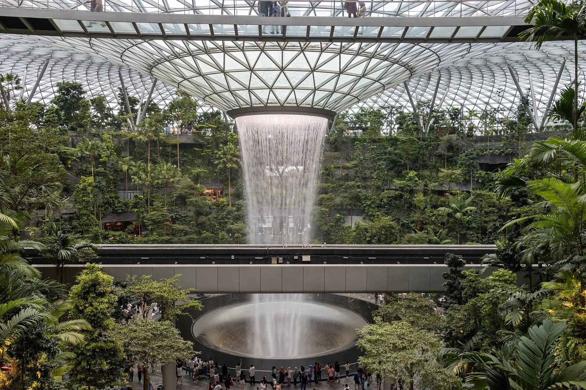 Essential Apps and Digital Services in Singapore